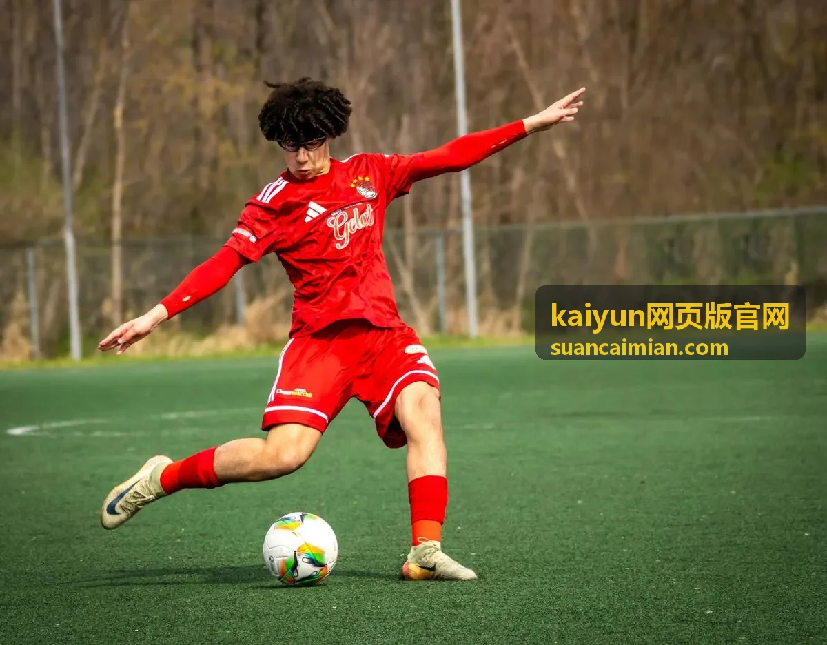 kaiyun网页版官网网页版操作指引配图