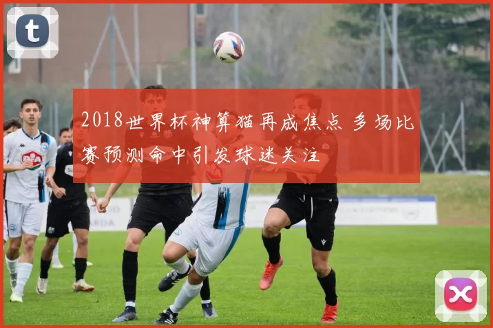 2018世界杯神算猫再成焦点 多场比赛预测命中引发球迷关注