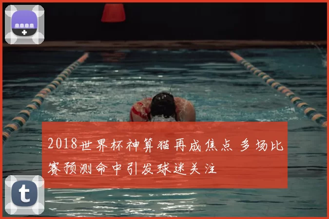 2018世界杯神算猫再成焦点 多场比赛预测命中引发球迷关注