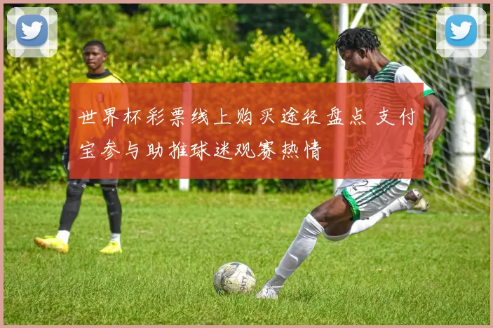 世界杯彩票线上购买途径盘点 支付宝参与助推球迷观赛热情