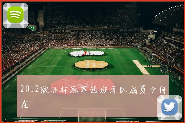 2012欧洲杯冠军西班牙队成员今何在